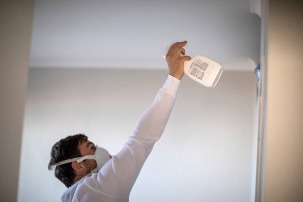 Best Mold Cleaning Services  in Daleville, IN