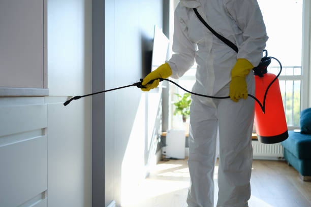 Home Mold Removal in Daleville, IN