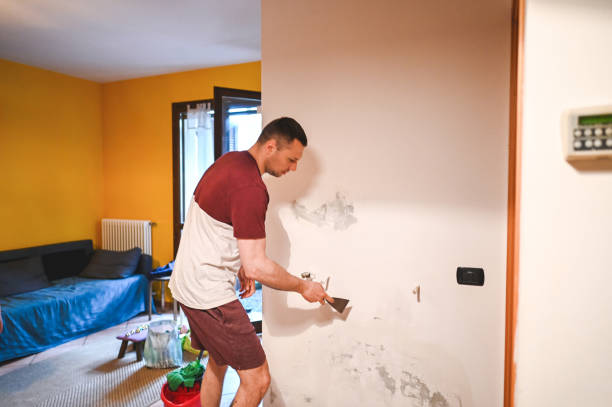 Best Local Mold Removal Service  in Daleville, IN